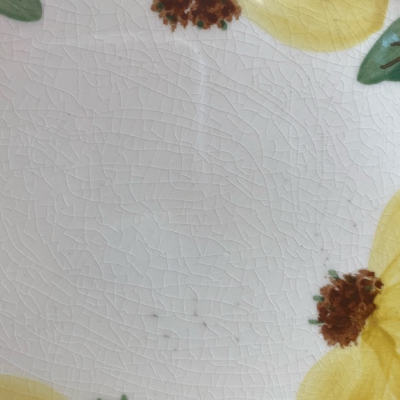 Vintage Blue Ridge Southern Potteries Dinner Plate - Picture 5 of 12